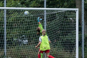 Bild 113 - C-Juniorinnen HSV - Walddoerfer : Ergebnis: 9:1